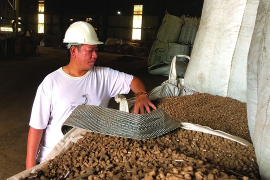 “Cơn bĩ cực” viên nén gỗ Tây Nguyên