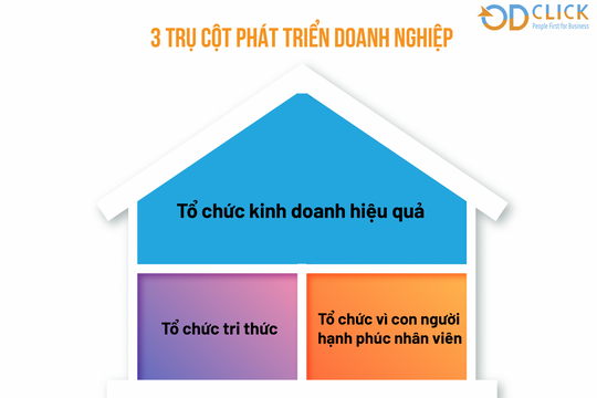 Xây dựng tổ chức tri thức