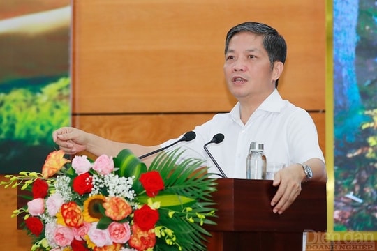 Cần Nghị quyết mới về bảo vệ, phát triển rừng và lâm nghiệp bền vững