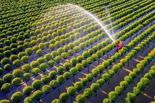 Du lịch Đồng Tháp chủ động đón các nhà đầu tư