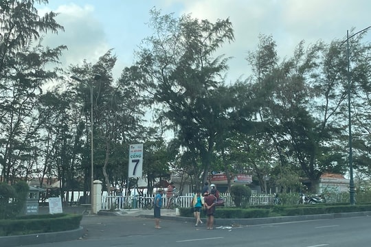 Vụ 28 ha đất vàng không rõ chủ tại TP Vũng Tàu: 4 doanh nghiệp sẽ được bồi thường