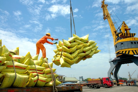 Sớm bãi bỏ Nghị định hạn chế hoạt động kinh doanh