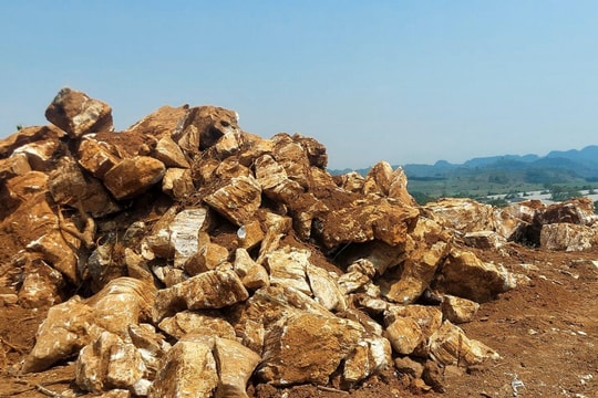 Tiếp bài khai thác khoáng sản trái phép tại huyện Quỳ Hợp: Tỉnh Nghệ An chỉ đạo gì?