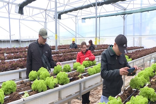 Nhiều lợi thế trong phát triển du lịch canh nông tại Lâm Đồng