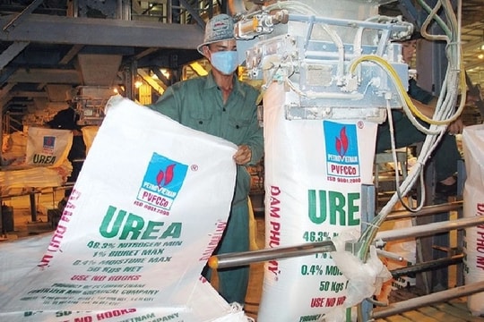 DPM “gặp khó”