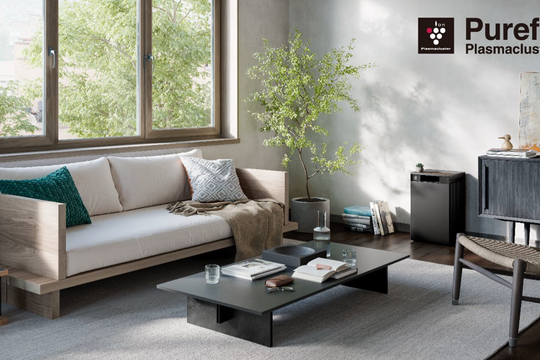 Sharp Nhật Bản ra mắt máy lọc không khí Purefit Plasmacluster mới