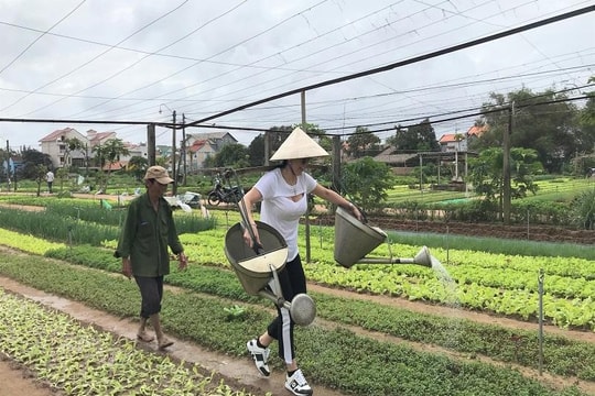 Vẫn thiếu cơ chế cho du lịch xanh Quảng Nam