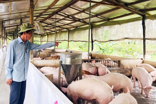 Doanh nghiệp ngành chăn nuôi đã qua thời khó khăn?