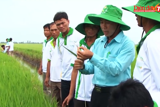 Nông nghiệp chuyển đổi số để đột phá về năng suất chất lượng