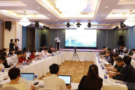 Thúc đẩy phát triển các mô hình đối tác công - tư