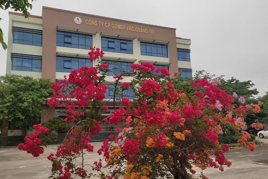 Chiến lược vượt khó của doanh nghiệp gỗ