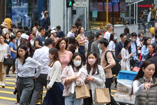 Thế hệ Z học cách “sống sót” trong môi trường công sở