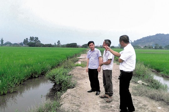 Nam Định: Thu hút doanh nghiệp đầu tư vào nông nghiệp