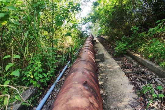 Nghệ An: Trạm bơm hàng chục tỷ đồng bị bỏ hoang suốt gần một thập kỷ