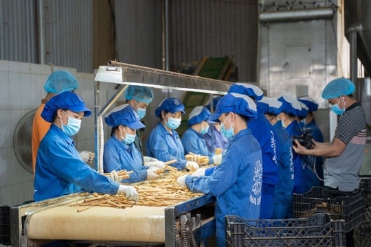 Các hoạt động của dự án SFV-Export năm 2022