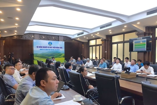 Xuất khẩu gạo: "Thời cơ không đợi chúng ta"