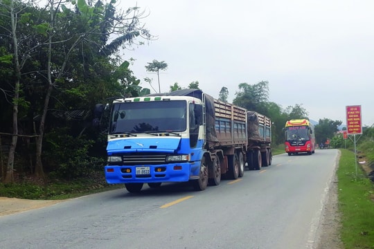 Xe vận tải biển số Lào “đại náo” đường Việt