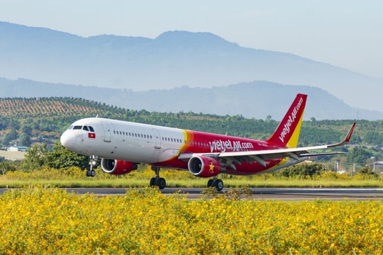 Thưởng hoa Đà Lạt - ngắm biển Busan dễ dàng với đường bay mới của Vietjet