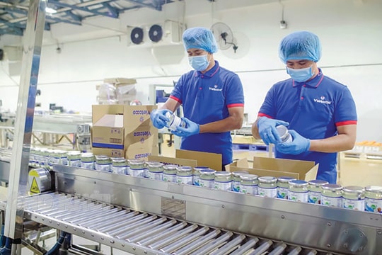 Bến Tre: Nâng cao vị thế, hình ảnh cây dừa
