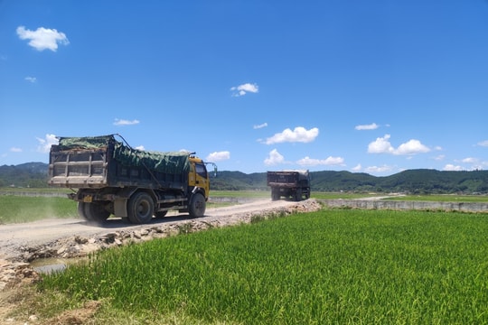 Loạt xe tải trọng lớn chở đất “đại náo” vùng quê ở Nghệ An