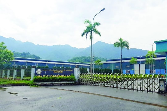 Nhà máy luyện kim phi cốc gần 8 năm “phủ bụi”: Phương án nào “hồi sinh”?