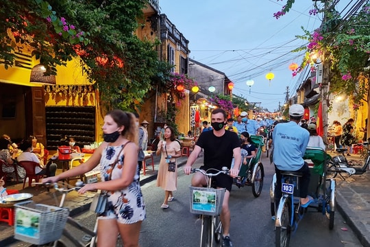 Lượt tìm kiếm về du lịch Việt Nam tăng vọt