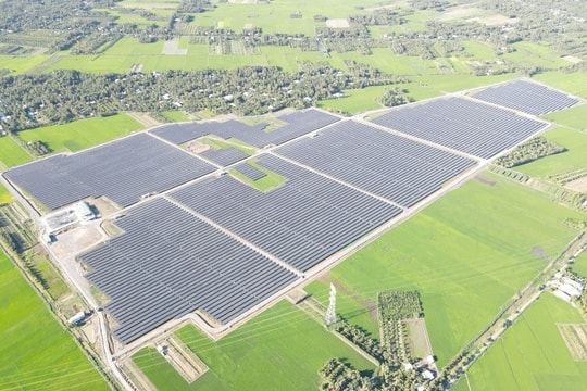 Bamboo Capital (BCG): Quý 2/2023 ghi nhận doanh thu 1.114 tỷ, lợi nhuận sau thuế hơn 160 tỷ