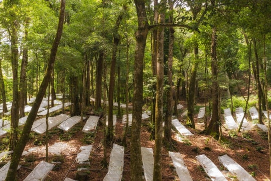 Bảo vệ thương hiệu, mang niềm tin cho người tiêu dùng