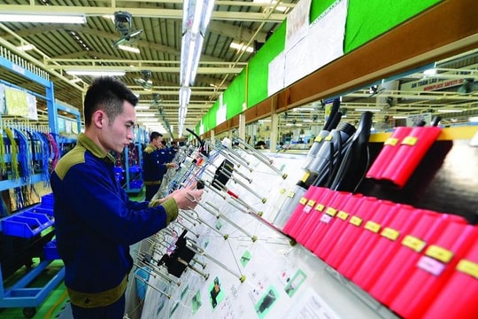 Hỗ trợ doanh nghiệp Quảng Nam: Nên bắt đầu từ đâu?