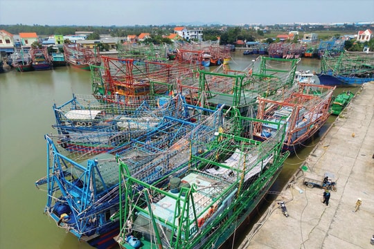 Cần đầu tư mạnh hơn cho hạ tầng cảng cá Hải Phòng