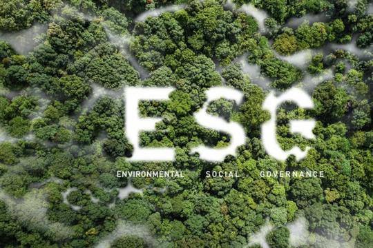 Đầu tư xanh: Dòng vốn bền vững toàn cầu giảm mạnh trong quý 2