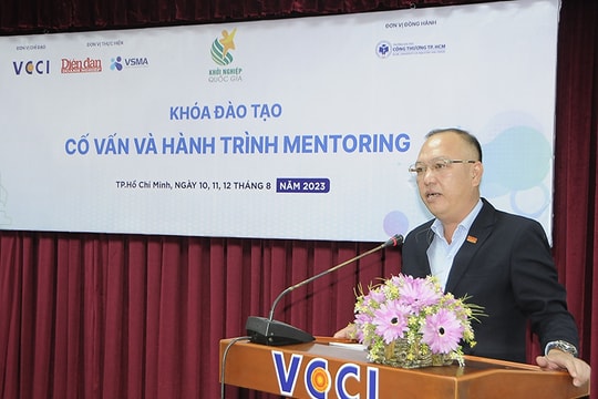 Cố vấn khởi nghiệp và hành trình mentoring nền móng vững chắc cho ý tưởng vươn cao