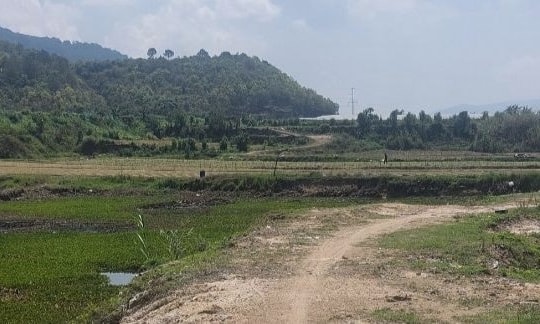 Lâm Đồng chấn chỉnh công tác đấu thầu