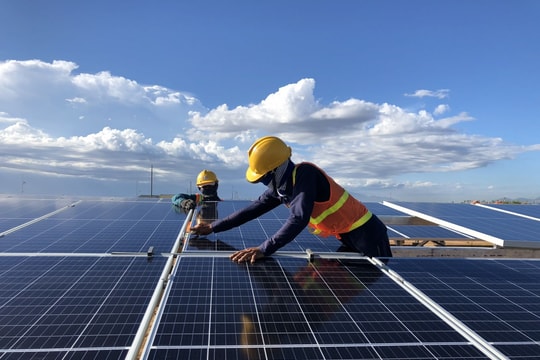 Việc làm xanh tại Việt Nam tăng trưởng hơn 20%