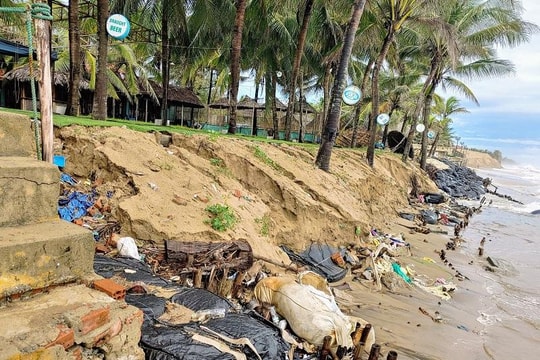 Biển xâm thực tại Cửa Đại - Bài cuối: Hãy trả lại cho thiên nhiên những gì con người tàn phá