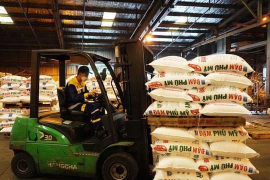 DPM sẽ chi hơn 1.173 tỷ đồng trả cổ tức