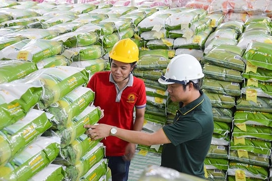 “Dò sóng” cổ phiếu lúa gạo