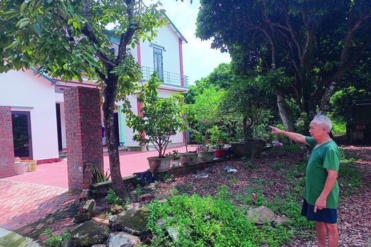 Tránh bẫy “hợp đồng giả cách”