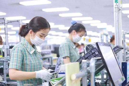 Nguyên tắc trả lương được quy định như thế nào trong pháp luật?