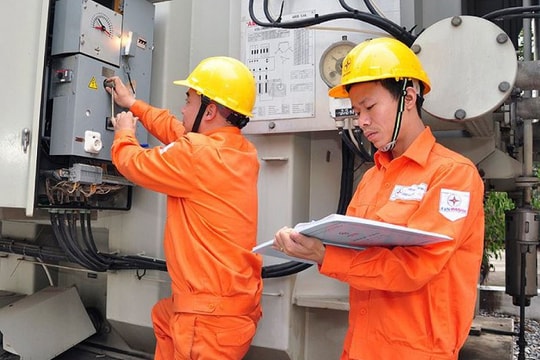 Cần có cơ quan đánh giá giá nhiên liệu độc lập ngoài EVN