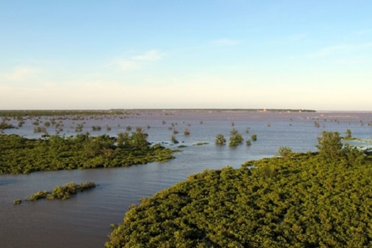 Cần giải quyết hài hòa giữa khai thác và bảo tồn Khu sinh thái Tiền Hải