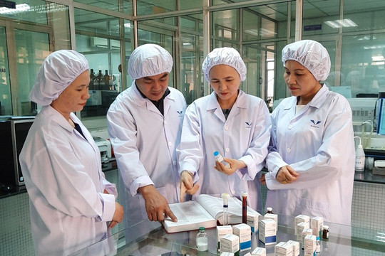 DBD “ngóng”...  đối tác chiến lược