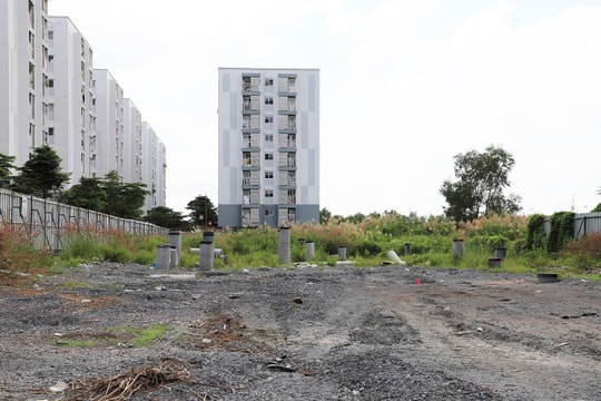 TP.HCM giám sát việc triển khai các dự án nhà ở xã hội