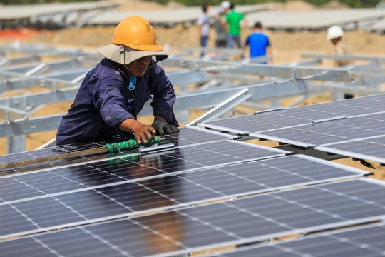 Kỹ năng nào cần thiết cho việc làm xanh?