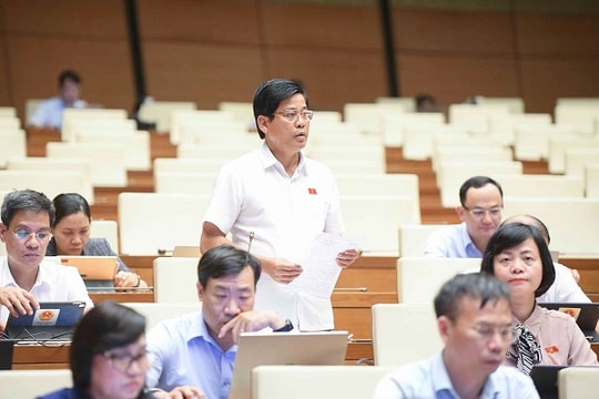 Đại biểu Quốc hội “bức xúc” vì dây cáp viễn thông “chằng chịt”