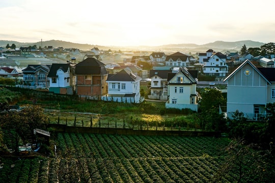 Tái lập vẻ đẹp nguyên sơ của Đà Lạt cách nào?