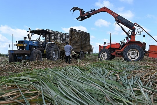 SBT “gặp thời”