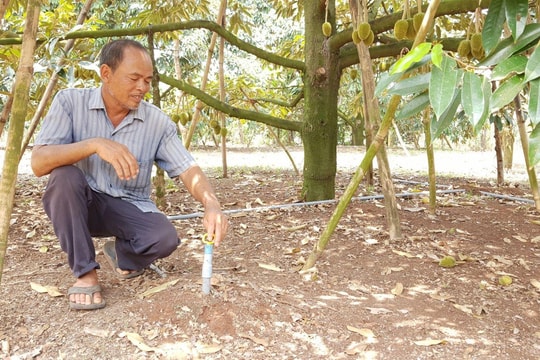 Thúc đẩy chuyển đổi số trong sản xuất cà phê