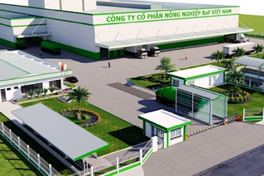 BAF muốn chào bán lượng cổ phiếu "khủng" để đầu tư chăn nuôi heo