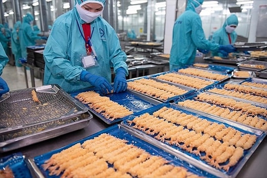 FMC mong “đổi vận”